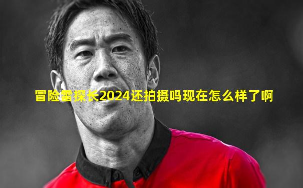 冒险雷探长2024还拍摄吗现在怎么样了啊