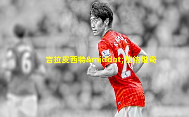 吉拉皮西特·加纳维奇