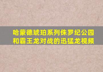 哈蒙德琥珀系列侏罗纪公园和霸王龙对战的迅猛龙视频