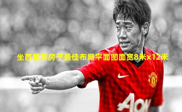 坐西朝东房子最佳布局平面图面宽8米x12米