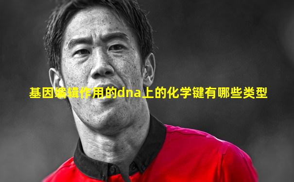 基因编辑作用的dna上的化学键有哪些类型