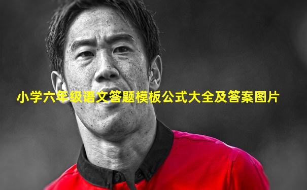 小学六年级语文答题模板公式大全及答案图片