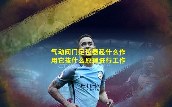 气动阀门定位器起什么作用它按什么原理进行工作