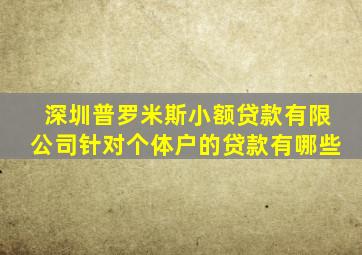 深圳普罗米斯小额贷款有限公司针对个体户的贷款有哪些