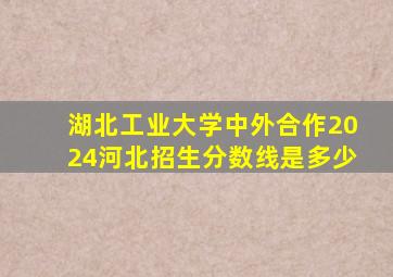 湖北工业大学中外合作2024河北招生分数线是多少