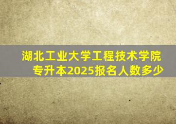 湖北工业大学工程技术学院专升本2025报名人数多少