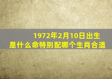 1972年2月10日出生是什么命特别配哪个生肖合适