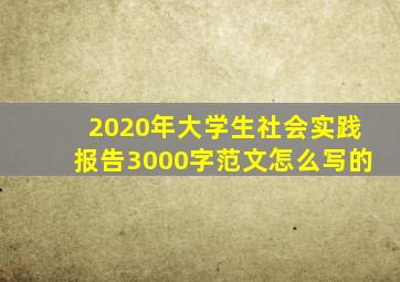 2020年大学生社会实践报告3000字范文怎么写的