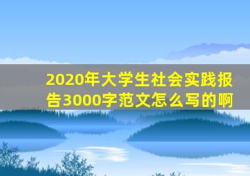 2020年大学生社会实践报告3000字范文怎么写的啊