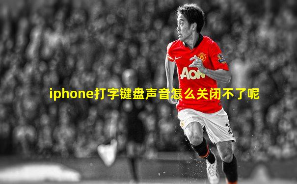 iphone打字键盘声音怎么关闭不了呢