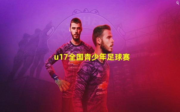 u17全国青少年足球赛