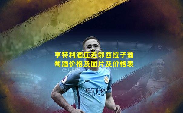亨特利酒庄近邻西拉子葡萄酒价格及图片及价格表