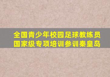全国青少年校园足球教练员国家级专项培训参训秦皇岛