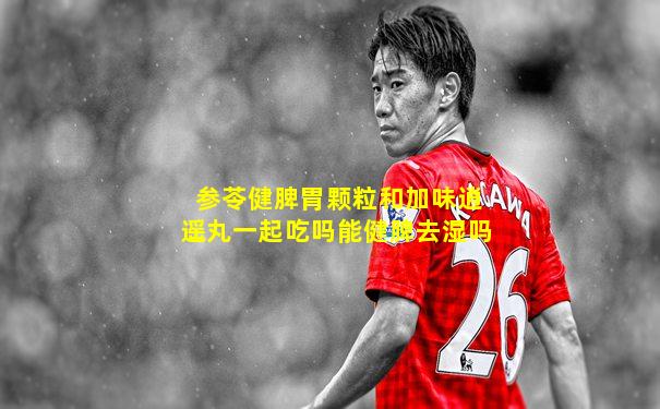 参苓健脾胃颗粒和加味逍遥丸一起吃吗能健脾去湿吗