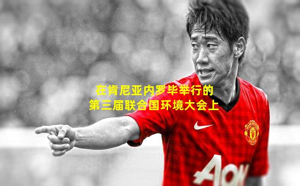 在肯尼亚内罗毕举行的第三届联合国环境大会上