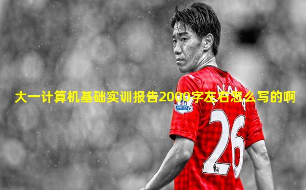 大一计算机基础实训报告2000字左右怎么写的啊