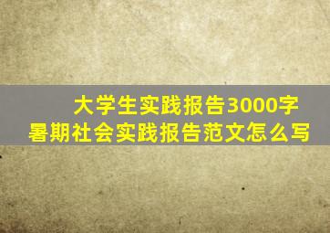 大学生实践报告3000字暑期社会实践报告范文怎么写