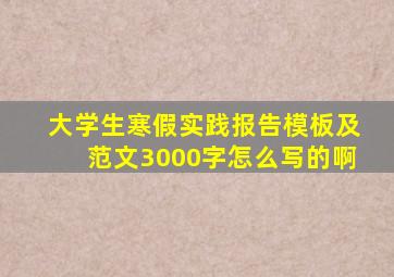 大学生寒假实践报告模板及范文3000字怎么写的啊