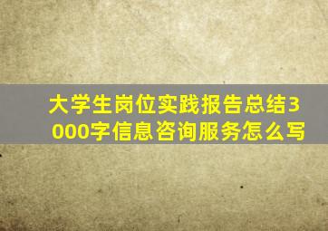 大学生岗位实践报告总结3000字信息咨询服务怎么写