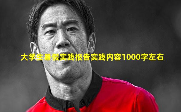 大学生暑假实践报告实践内容1000字左右