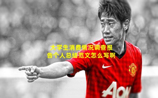 大学生消费情况调查报告个人总结范文怎么写啊