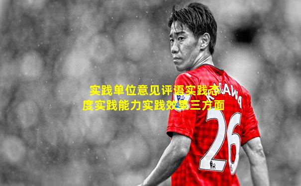 实践单位意见评语实践态度实践能力实践效果三方面