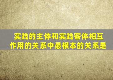 实践的主体和实践客体相互作用的关系中最根本的关系是