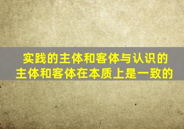实践的主体和客体与认识的主体和客体在本质上是一致的