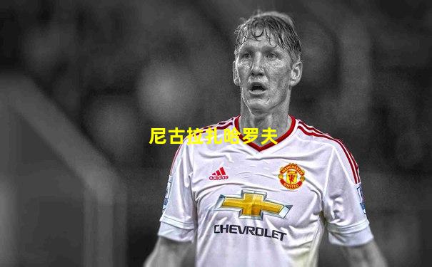 尼古拉扎哈罗夫