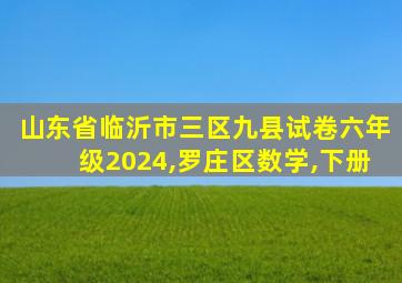 山东省临沂市三区九县试卷六年级2024,罗庄区数学,下册