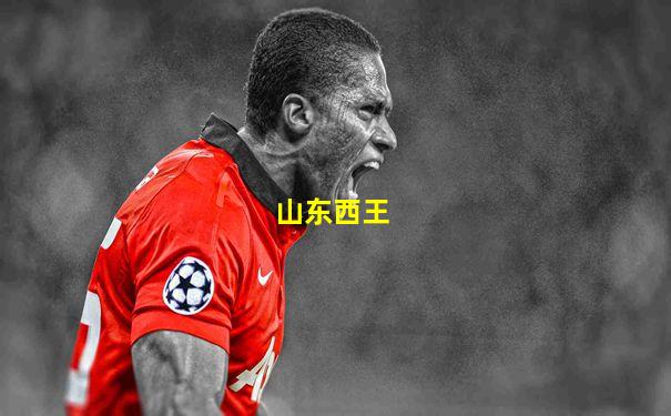 山东西王