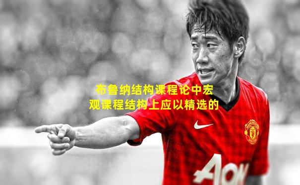 布鲁纳结构课程论中宏观课程结构上应以精选的