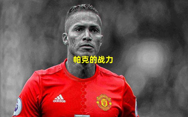 帕克的战力