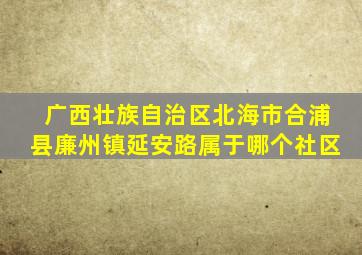 广西壮族自治区北海市合浦县廉州镇延安路属于哪个社区