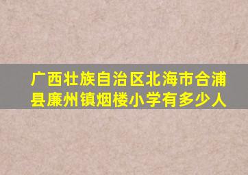 广西壮族自治区北海市合浦县廉州镇烟楼小学有多少人