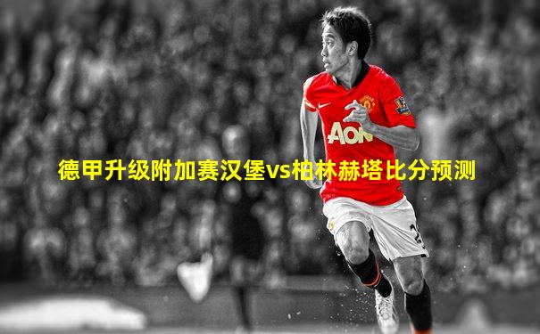 德甲升级附加赛汉堡vs柏林赫塔比分预测