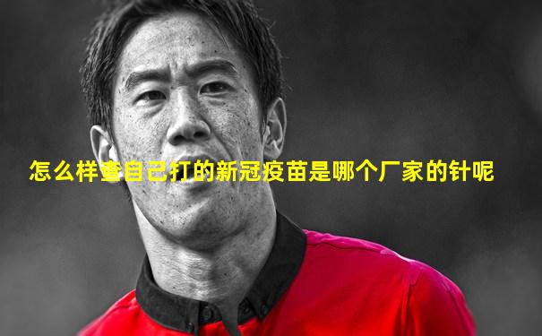 怎么样查自己打的新冠疫苗是哪个厂家的针呢