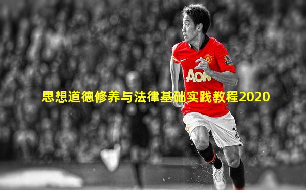 思想道德修养与法律基础实践教程2020