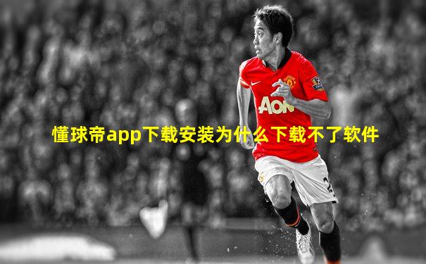 懂球帝app下载安装为什么下载不了软件
