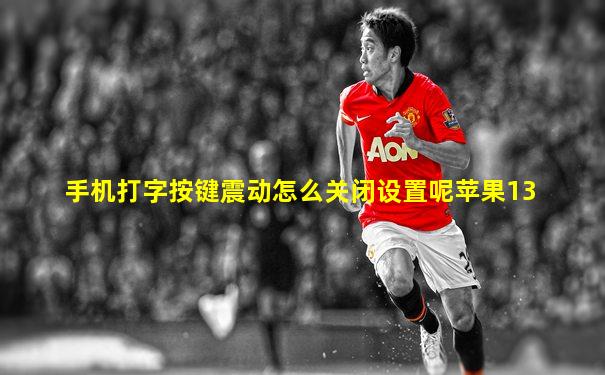 手机打字按键震动怎么关闭设置呢苹果13