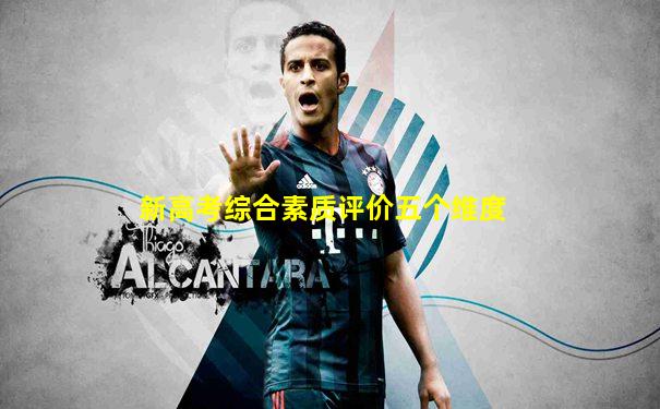 新高考综合素质评价五个维度