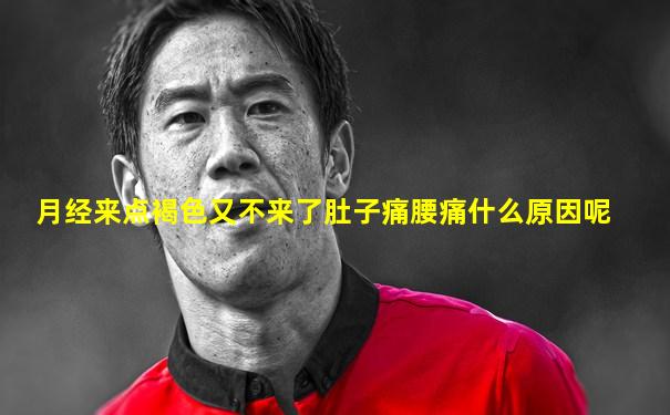 月经来点褐色又不来了肚子痛腰痛什么原因呢