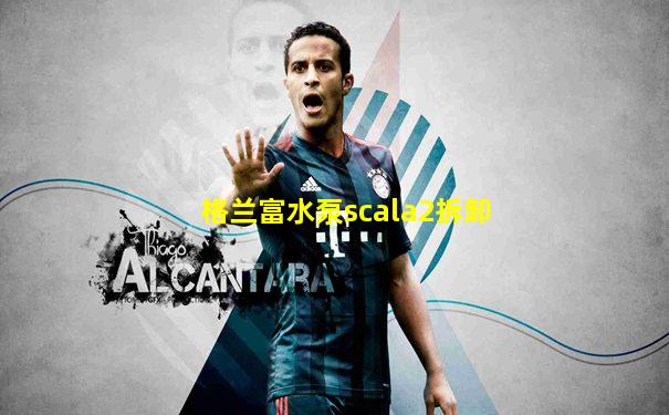 格兰富水泵scala2拆卸