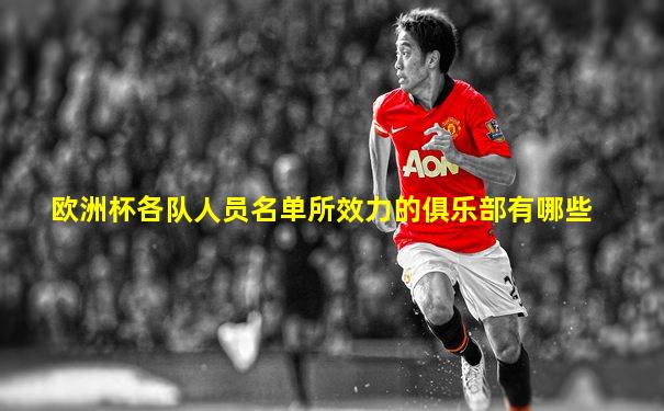 欧洲杯各队人员名单所效力的俱乐部有哪些