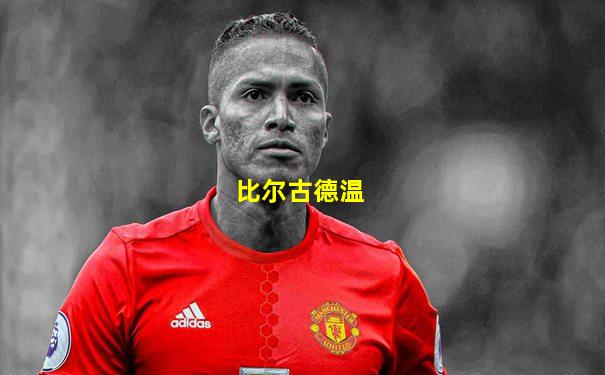 比尔古德温