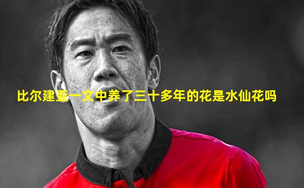 比尔建亚一文中养了三十多年的花是水仙花吗