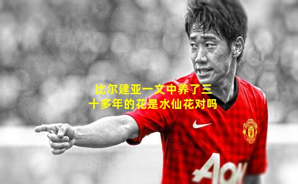 比尔建亚一文中养了三十多年的花是水仙花对吗