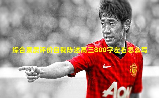 综合素质评价自我陈述高三800字左右怎么写