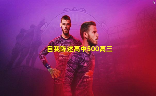 自我陈述高中500高三
