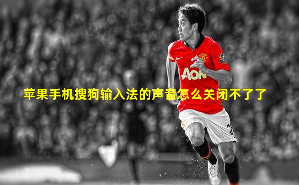 苹果手机搜狗输入法的声音怎么关闭不了了